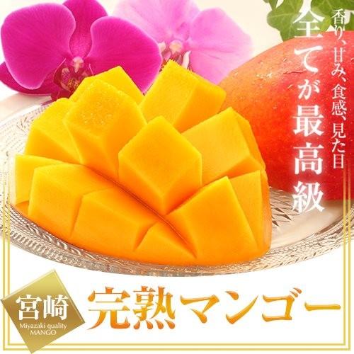 2025 宮崎完熟マンゴー 秀品-極上玉（赤秀) 特大サイズ×2玉 宮崎