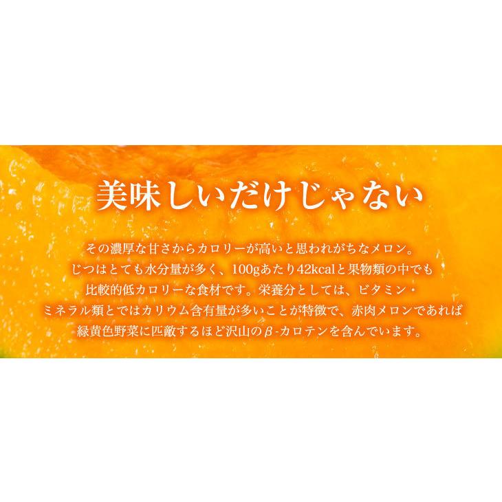 2026年2月下旬以降順次発送】【宮崎県小林市産 めろめろメロン 青肉2個