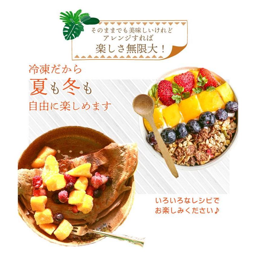 宮崎完熟 冷凍マンゴー ダイスカット 300g×2パック 大玉を一口 宮崎完熟 冷凍マンゴー ダイスカット 300g×2パック 大玉を一口