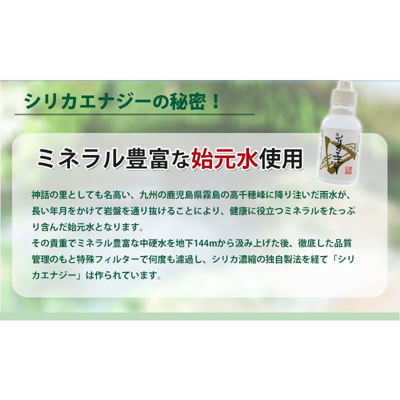 シリカエナジー濃縮溶液 驚きの高濃度!5,660mg/l 送料無料 独自 シリカエナジー濃縮溶液 驚きの高濃度!5,660mg/l 送料無料 独自