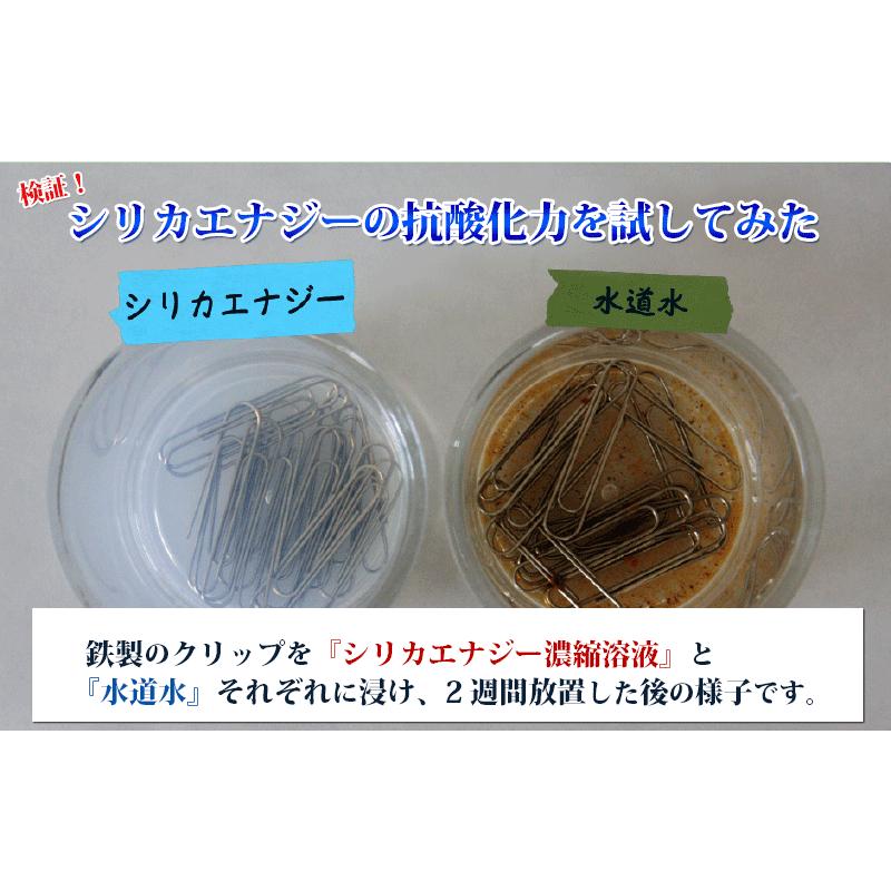 シリカエナジー濃縮溶液 驚きの高濃度!5,660mg/l 送料無料 独自 シリカエナジー濃縮溶液 驚きの高濃度!5,660mg/l 送料無料 独自
