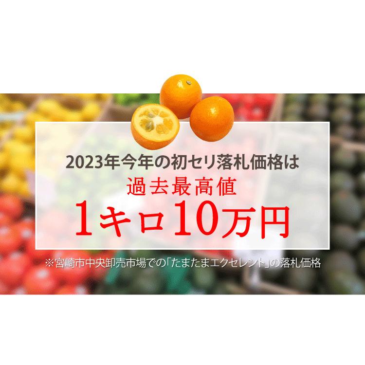 宮崎県産 完熟きんかん〈たまたま エクセレント 3Lサイズ1kg 宮崎県産 完熟きんかん〈たまたま エクセレント 3Lサイズ1kg