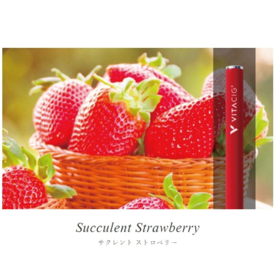 ビタシグ VITACIG サクレント ストロベリー Succulent Strawberry｜miyazawa-shobou
