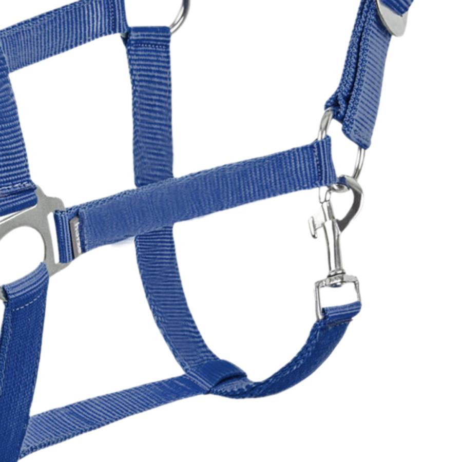 HORZE 乗馬用品 無口 曳き手 曳手 セット ホルター 馬 引き手 リード  