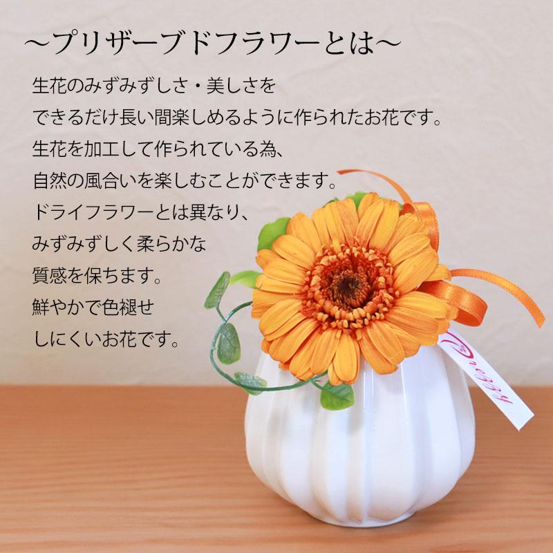 プリザーブドフラワー クリアケース入り マノン 一輪花 母の日 ギフト