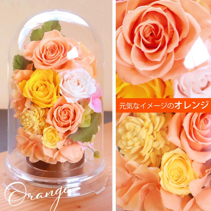 プリザーブドフラワー ドーム型 グランドーム 母の日 ギフト お花