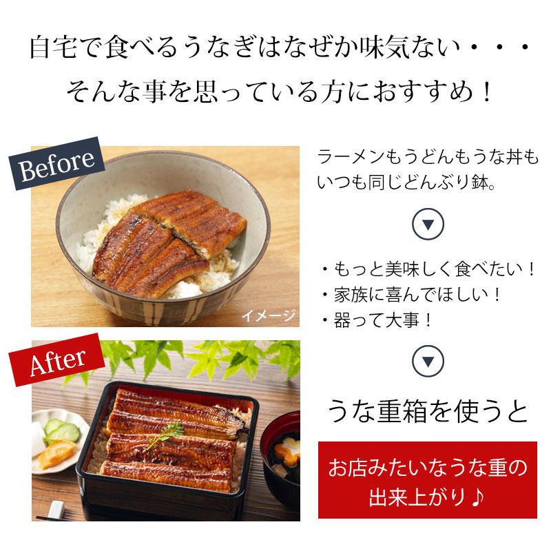 うな重箱 うな重 食洗機対応 器 うな丼 角 山中塗り 溜塗り 日本製