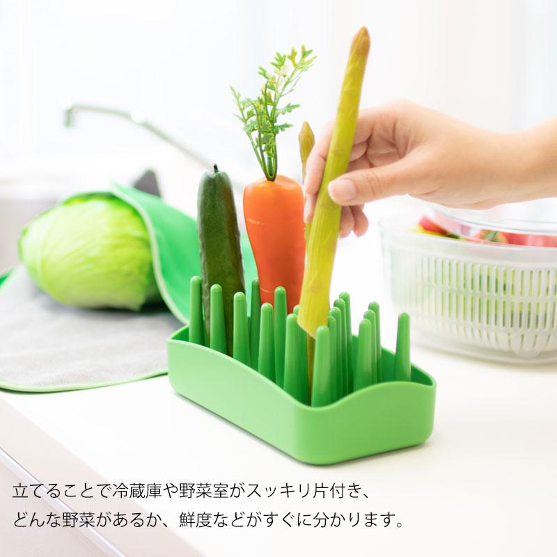 PLYS ベジマジ たてる 野菜スタンド 野菜保存 野菜収納 収納 水切り