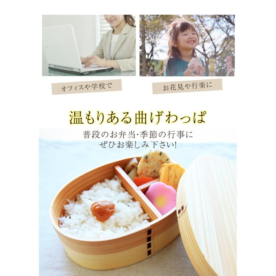 お弁当箱 曲げわっぱ 高背小判 弁当箱 白木 700ml 1段 曲げわっぱ弁当箱 まげわっぱ 男子 大容量 大人 男の子 おしゃれ 送料無料 高校男子｜miyoshi-ya｜05