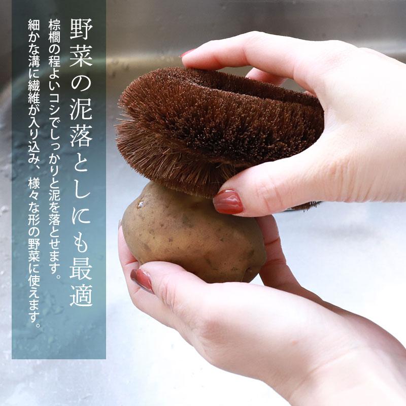 棕櫚たわし ふつう 日本製 キッチン 傷つけない 台所 ブラシ シンク