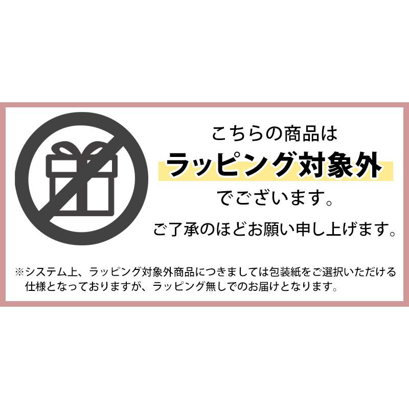 棕櫚箒 大掃除応援セット 荒神箒 4玉 はりみ塵取り 福袋 2026年 Broom Craft 深海産業 ミニ 小さい 隙間 おしゃれ ほうき ホウキ ちりとり チリトリ
