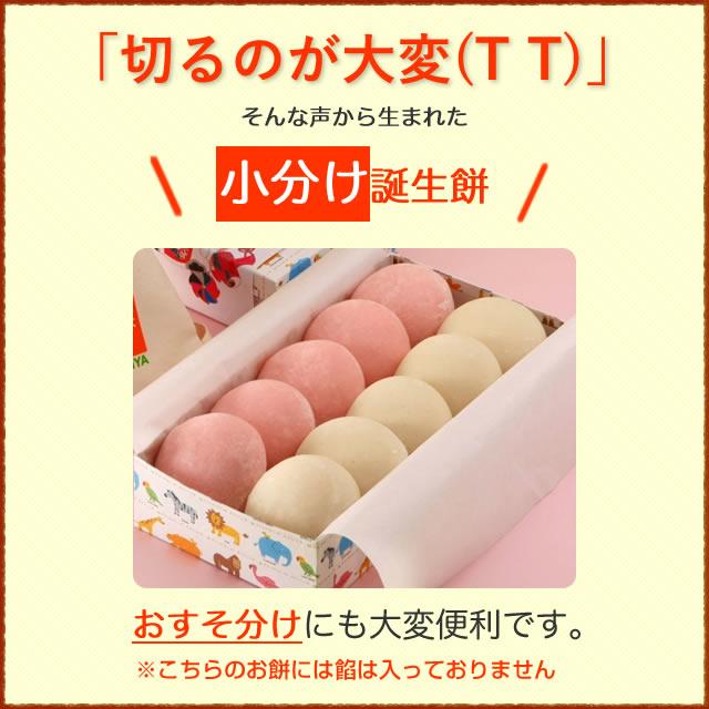 リュック無し 一升餅 誕生餅 「紅白餅小分け」 1歳の誕生日のお祝い