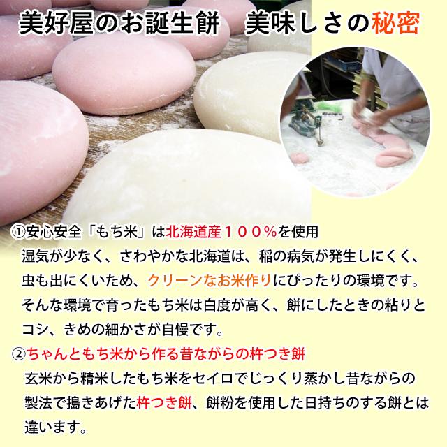 リュック無し 一升餅 誕生餅 「紅白餅小分け」 1歳の誕生日のお祝い