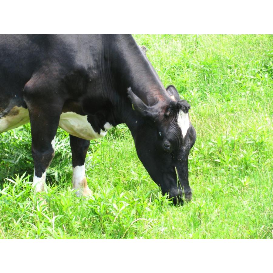 牛乳煎餅 |  | 09