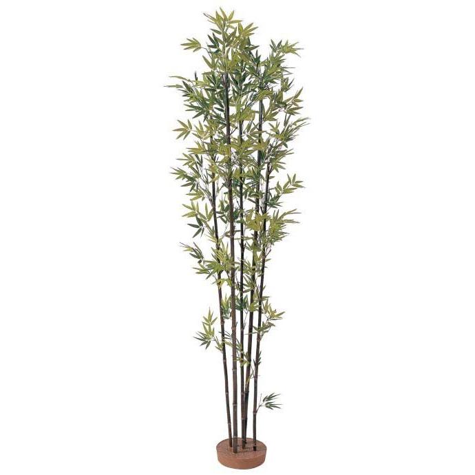 黒竹5本立1.8ｍ　鉢無　人工植物　室内用