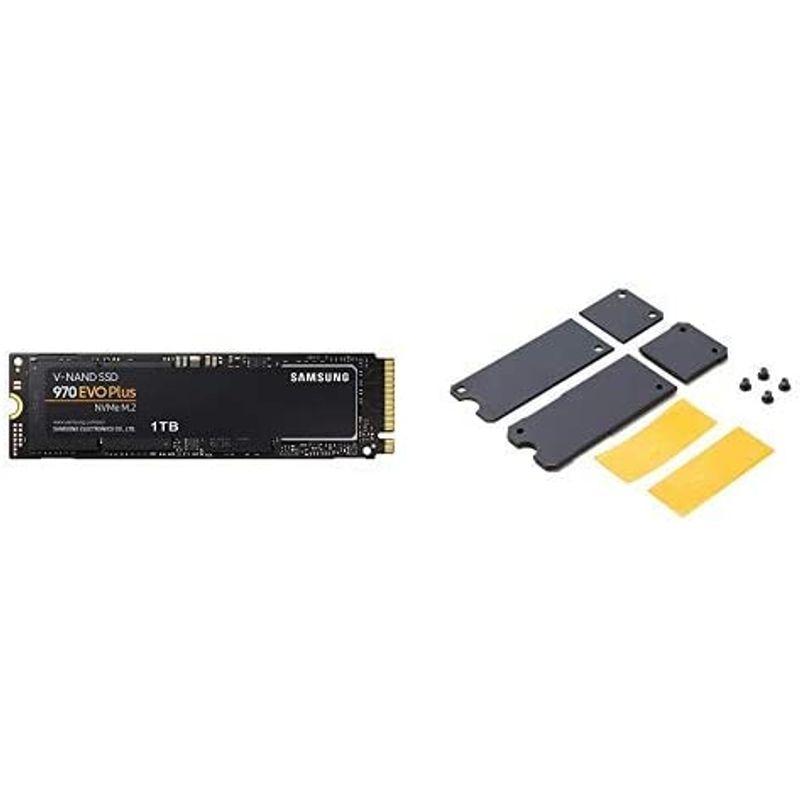 限定でセール価格 Samsung SSD 1TB 970 EVO Plus M.2 Type2280 NVMe1.3 ヒートシンク付き lsansimon.com