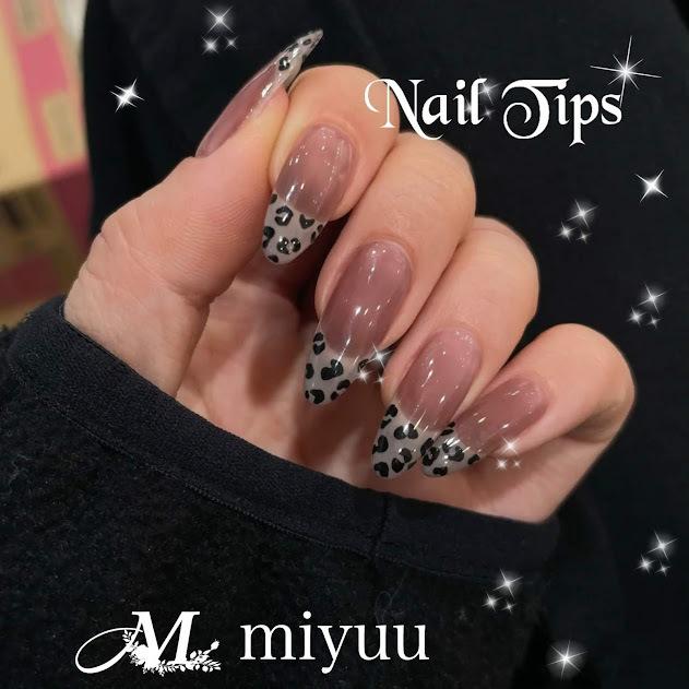 ネイルチップ ネイル チップ かわいい つけ爪 ピスタチオ ヒョウ柄 グラデーション ハート 韓国ネイル レディース おしゃれ Nailtips0003 Miyuu 通販 Yahoo ショッピング