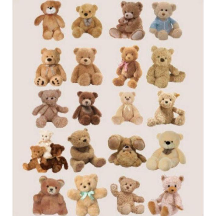 シール フレークシール Petシール テディベア くま 天使 エンジェル Pet素材 ジャンクジャーナル コラージュ ラッピング 海外雑貨 海外 大きめ かわいい Petseal0012 Miyuu 通販 Yahoo ショッピング