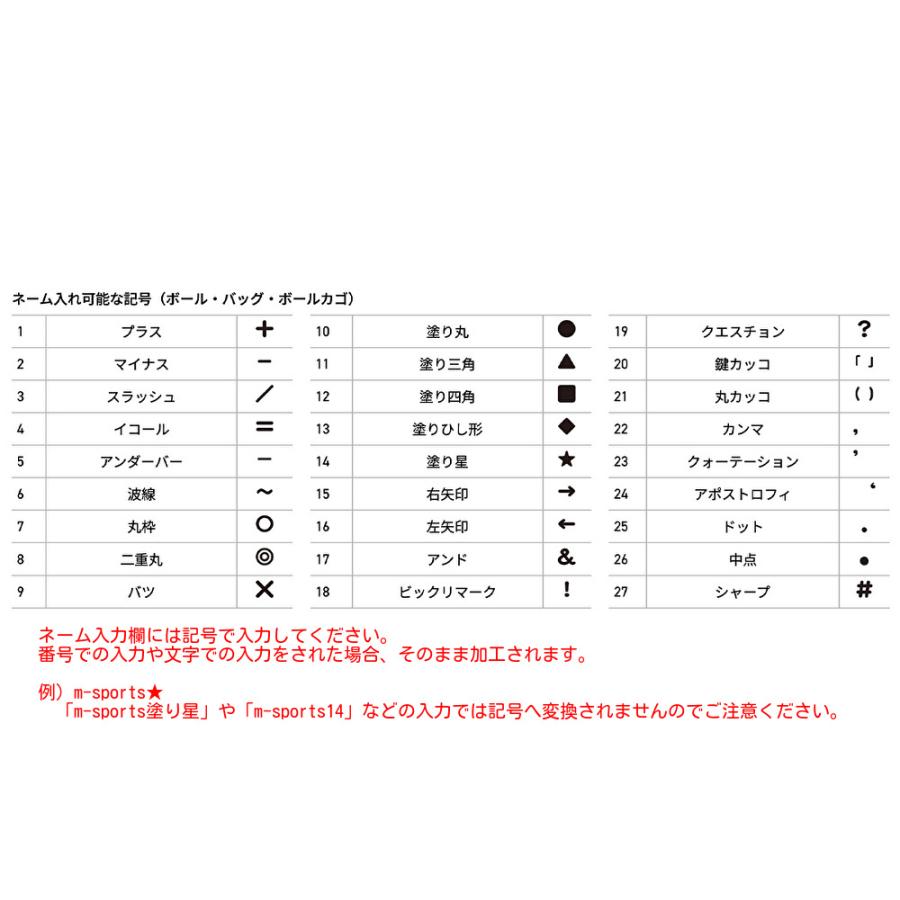 molten（モルテン） ＼名入れ可能／ バレーボール3個入れ ボール