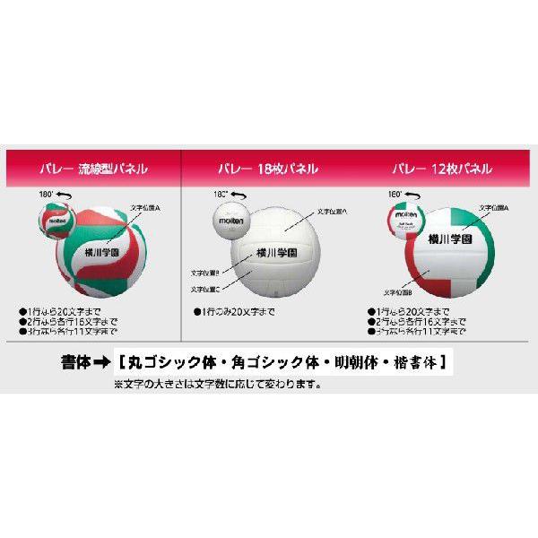 molten（モルテン） moltenメディシン バレーボール 4号 トレーニング