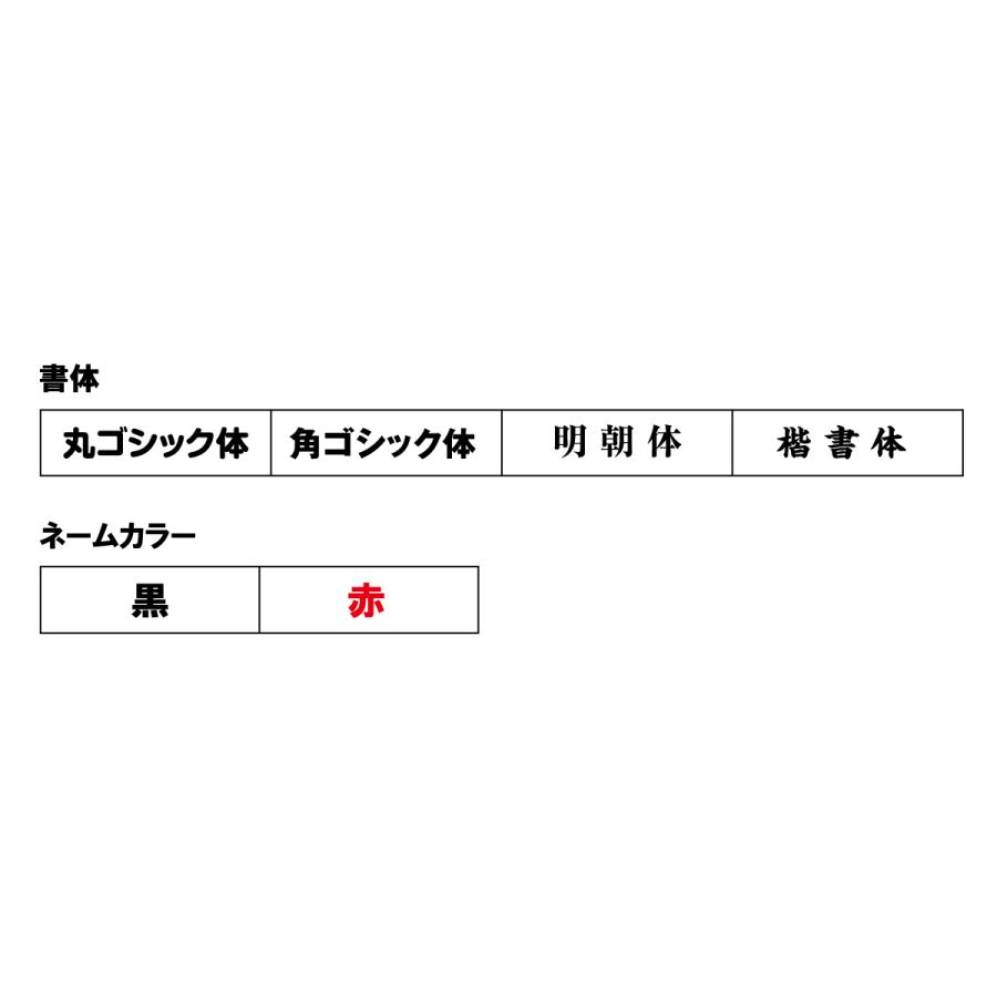 MIKASA（ミカサ） ＼名入れ可能／バレーボール MIKASA 5号球 国際公認