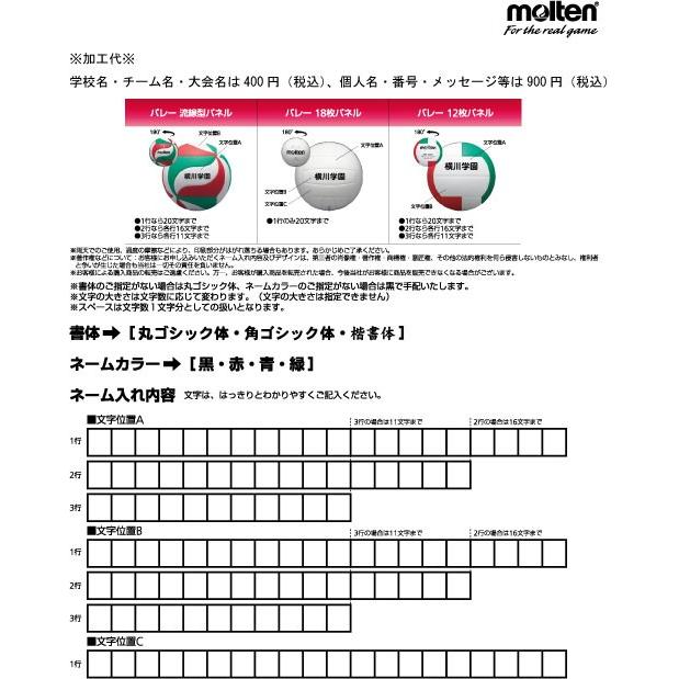 molten（モルテン） メディシンボール トレーニング用ボール【ネーム
