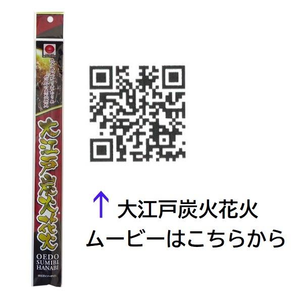 大江戸炭火花火 1本入×6本セット No.100 パチパチトーチ花火 手持ち花火 純国産 燃焼時間約30秒|mizota|02