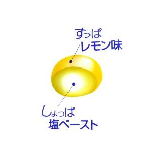 塩れもんキャンディ 100g 10袋 松屋製菓 生塩レモン 熱中症対策に 10 みぞた オンラインストアー 通販 Yahoo ショッピング