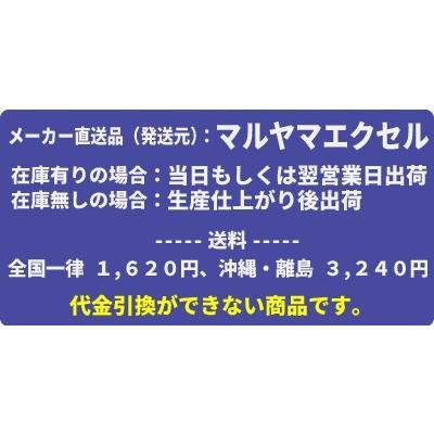 マルヤマエクセル　高圧プランジャーポンプ　大型洗浄機/大型装置搭載用　MW3541｜mizu-syori｜04