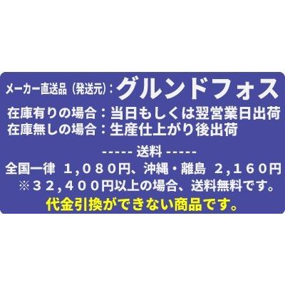 グルンドフォスポンプ　立形多段うず巻ポンプ　CRN5-5｜mizu-syori｜02