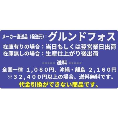 グルンドフォスポンプ　深井戸用水中ポンプ　SP8A-15｜mizu-syori｜02