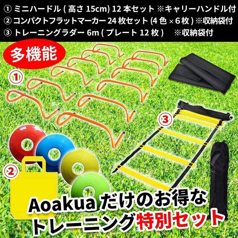 Aoakua フラット コンパクトな ディスク 各10枚 フラットマーカー 収納袋付40枚セット マーカーコーン