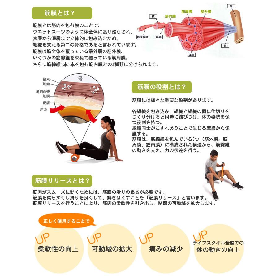 正規品）トリガーポイント グリッドフォームローラー [NKPS_NO] 04401