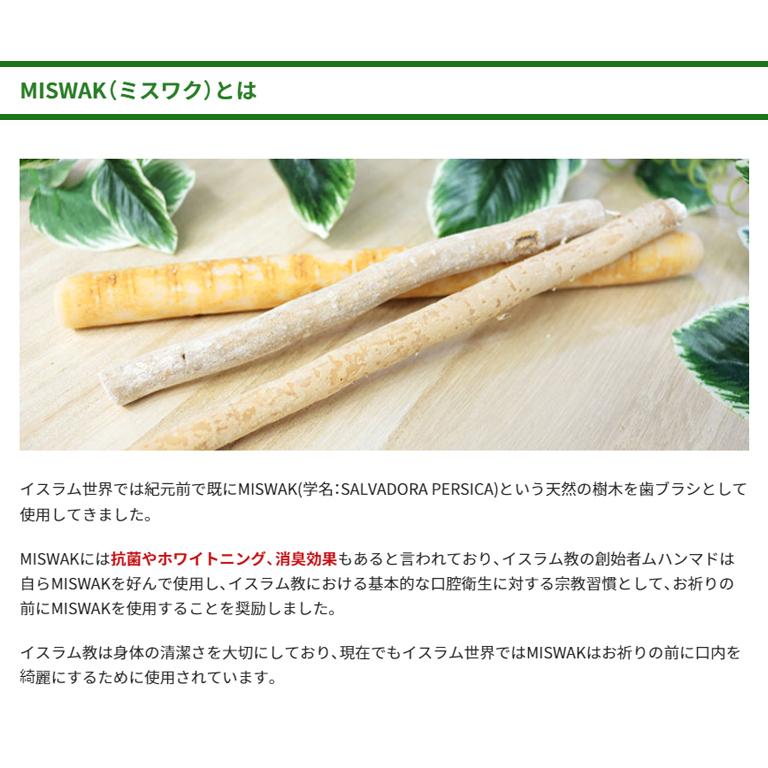 歯ブラシ The Smart Miswak 大人用 x 2本セット 歯垢 除去 歯みがき 歯磨き はぶらし 歯 ハブラシ 日本製 歯ブラシセット アウトドア プレゼント ギフト |  | 07