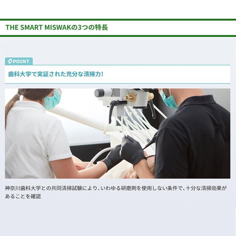 歯ブラシ The Smart Miswak 大人用 x 6本セット 歯垢 除去 歯みがき 歯磨き はぶらし 歯 ハブラシ 日本製 歯ブラシセット アウトドア プレゼント ギフト |  | 05