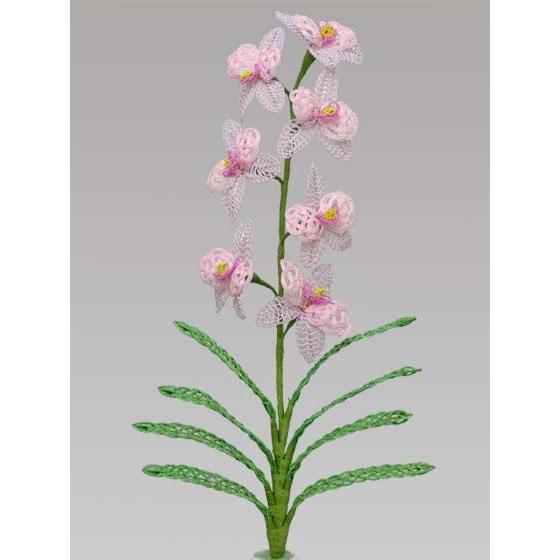 水引　材料セット完成見本　デンファレ