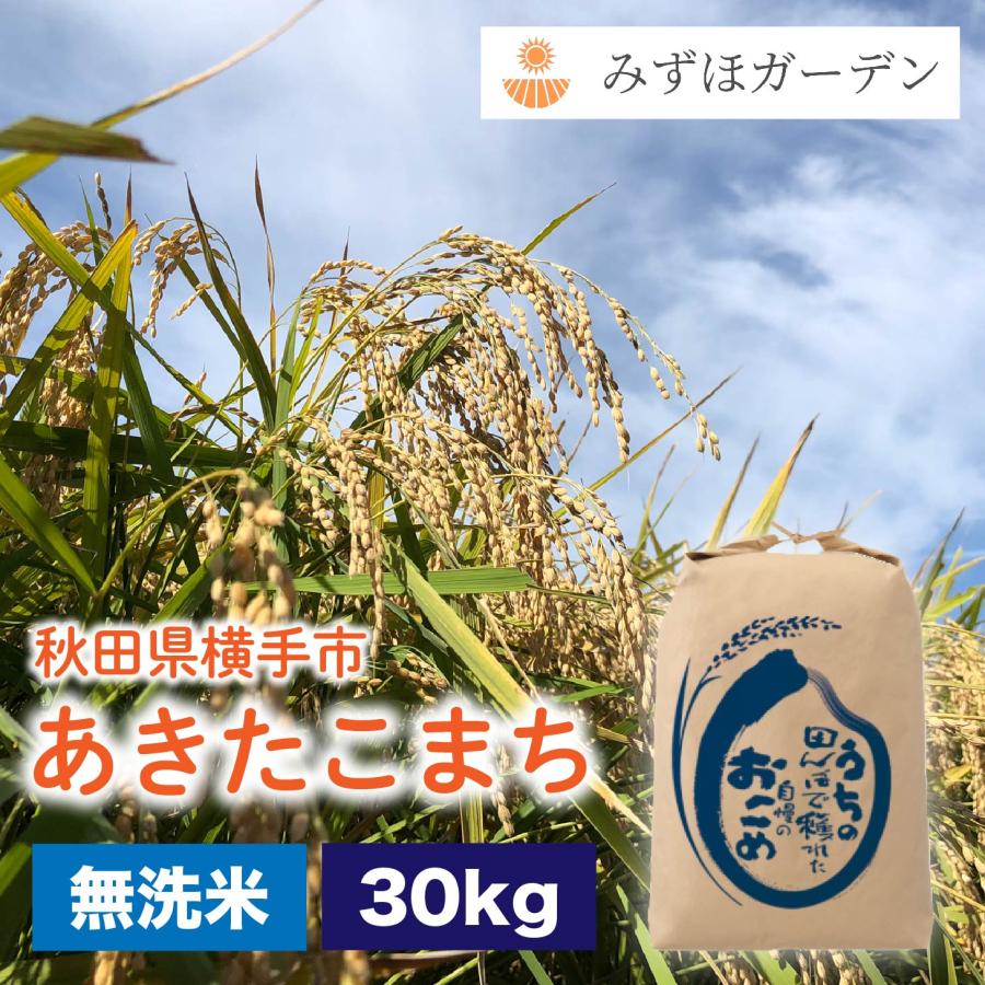 令和6年産】無洗米 あきたこまち 30kg 送料無料 秋田県産 令和6年産】無洗米 あきたこまち 30kg 送料無料 秋田県産