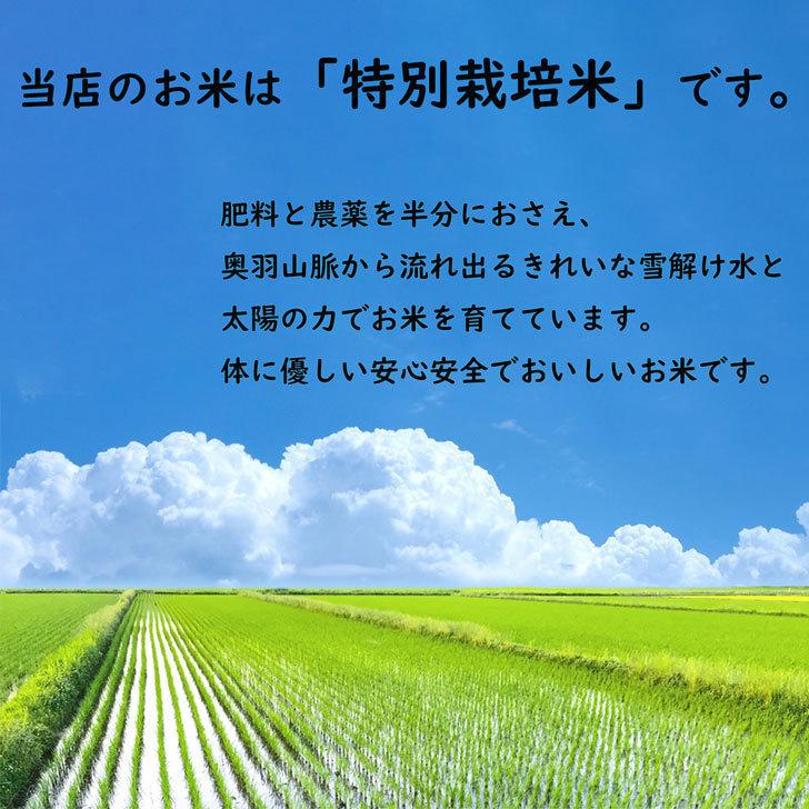令和6年産】無洗米 あきたこまち 30kg 送料無料 秋田県産 令和6年産】無洗米 あきたこまち 30kg 送料無料 秋田県産