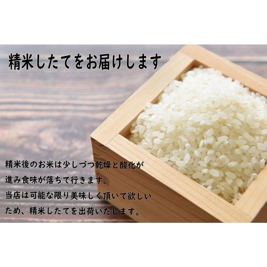 令和6年産】無洗米 あきたこまち 30kg 送料無料 秋田県産 令和6年産】無洗米 あきたこまち 30kg 送料無料 秋田県産