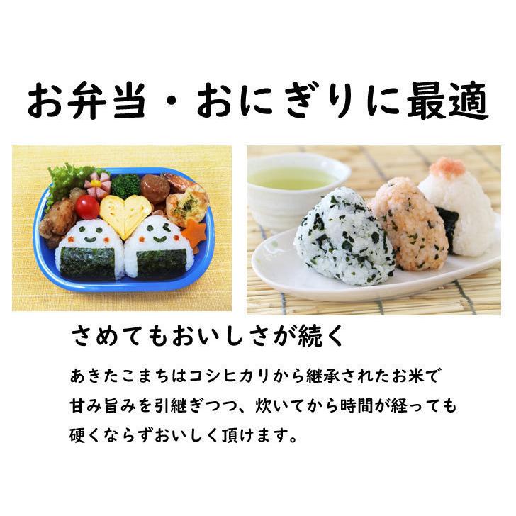 令和6年産】無洗米 あきたこまち 30kg 送料無料 秋田県産 令和6年産】無洗米 あきたこまち 30kg 送料無料 秋田県産