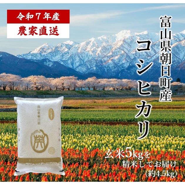 【農家直送 送料無料】7年産 コシヒカリ 富山県 朝日町産 オリジナルブランド 米【英〜はなぶさ〜】精米4.5kg 精米 白米 残留農薬検査済 | コシヒカリ