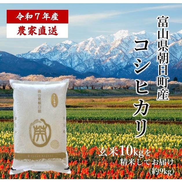 コシヒカリ 【農家直送 送料無料】7年産 富山県 朝日町産 オリジナル