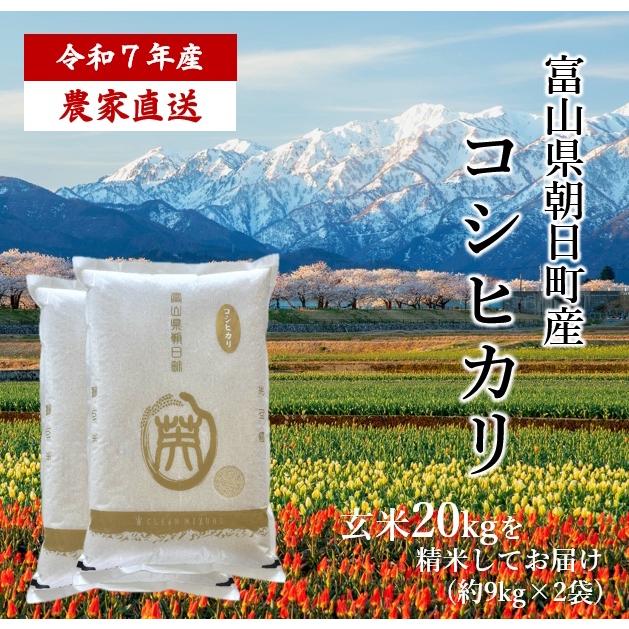 令和6年産 富山県朝日町産 コシヒカリ 新米 オリジナルブランド「英  