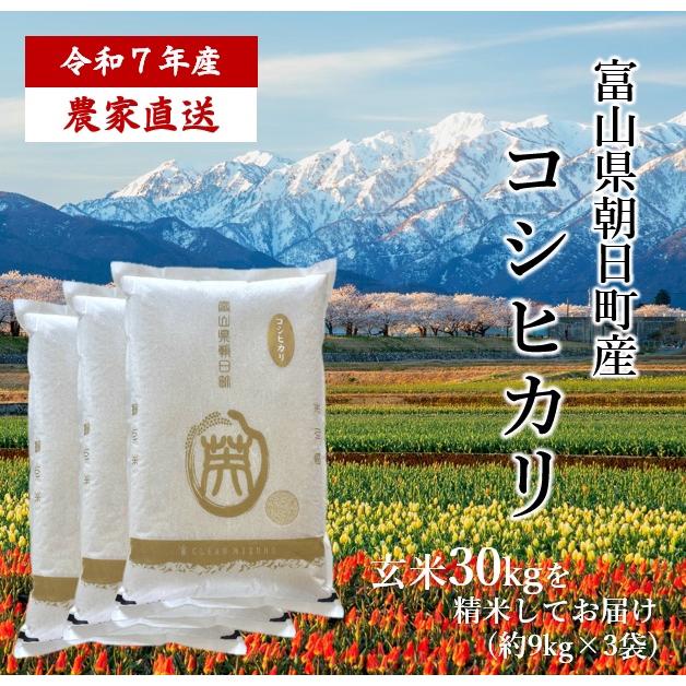 完売‼️【受付終了】令和七年度産新米 朝日米 玄米