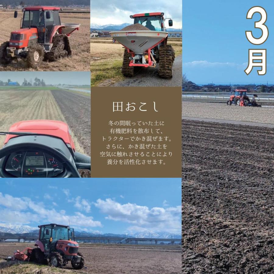 【農家直送・送料無料】8年産 新米 コシヒカリ 富山県 朝日町産 オリジナルブランド 米【英〜はなぶさ〜】玄米10kg | コシヒカリ | 11