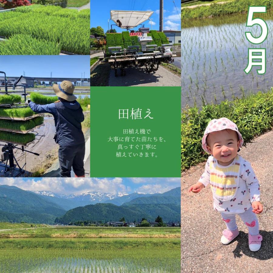 【農家直送・送料無料】8年産 新米 コシヒカリ 富山県 朝日町産 オリジナルブランド 米【英〜はなぶさ〜】玄米10kg | コシヒカリ | 14