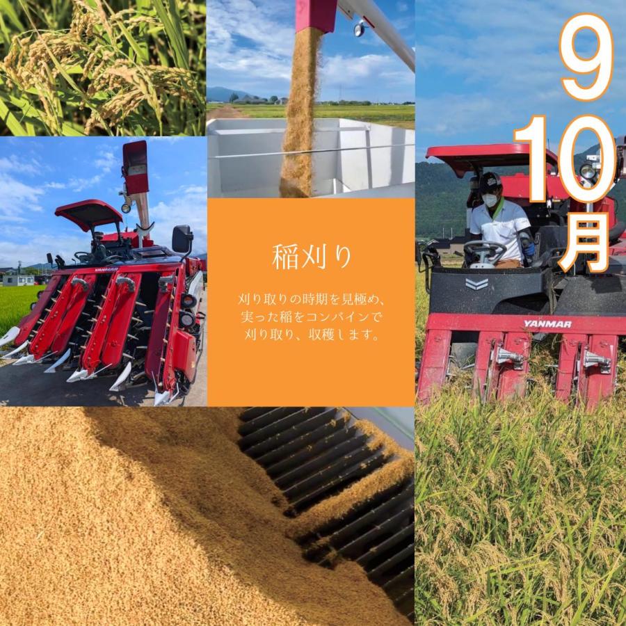 【農家直送・送料無料】8年産 新米 コシヒカリ 富山県 朝日町産 オリジナルブランド 米【英〜はなぶさ〜】玄米10kg | コシヒカリ | 16
