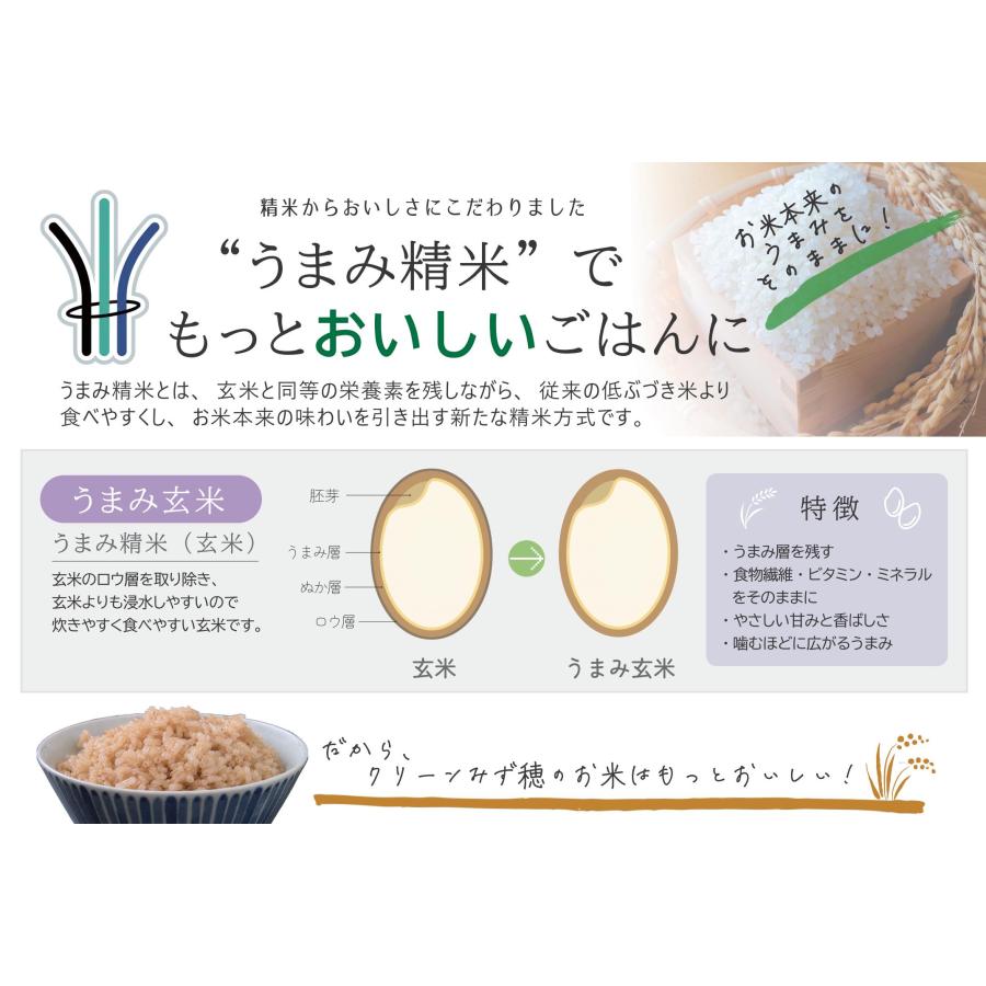 【農家直送・送料無料】8年産 新米 コシヒカリ 富山県 朝日町産 オリジナルブランド 米【英〜はなぶさ〜】玄米10kg | コシヒカリ | 05