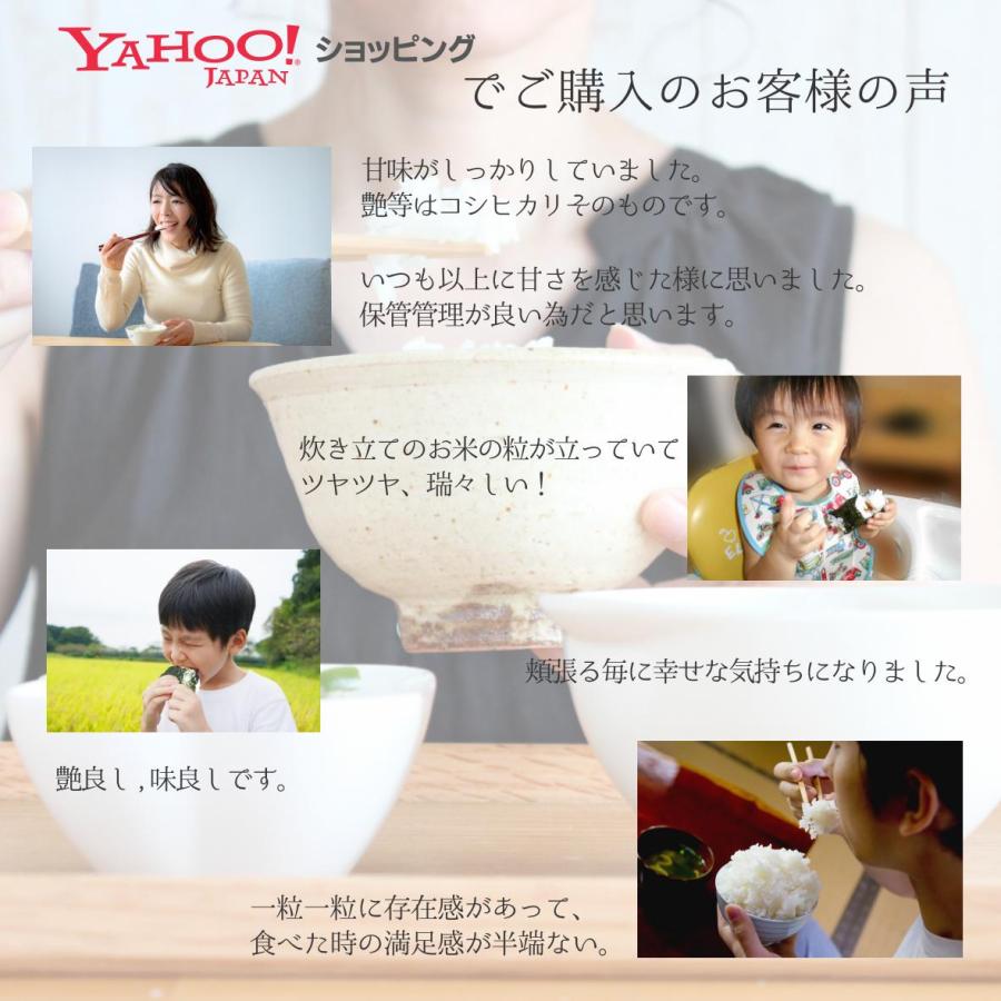 【農家直送・送料無料】8年産 新米 コシヒカリ 富山県 朝日町産 オリジナルブランド 米【英〜はなぶさ〜】玄米10kg | コシヒカリ | 06
