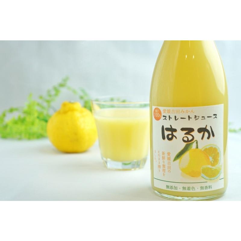 愛媛みかんジュースはるかみかん吉田産ストレートジュース720ml : 吉田
